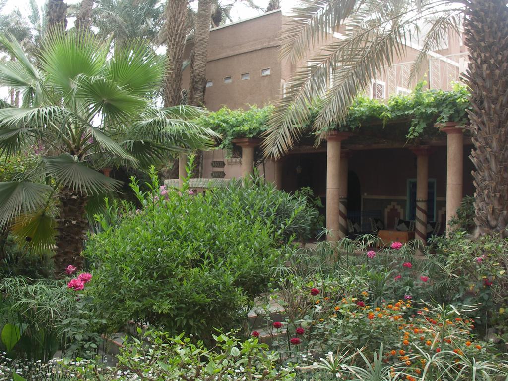 Fibule Du Draa Kasbah D'Hotes Zagora Buitenkant foto