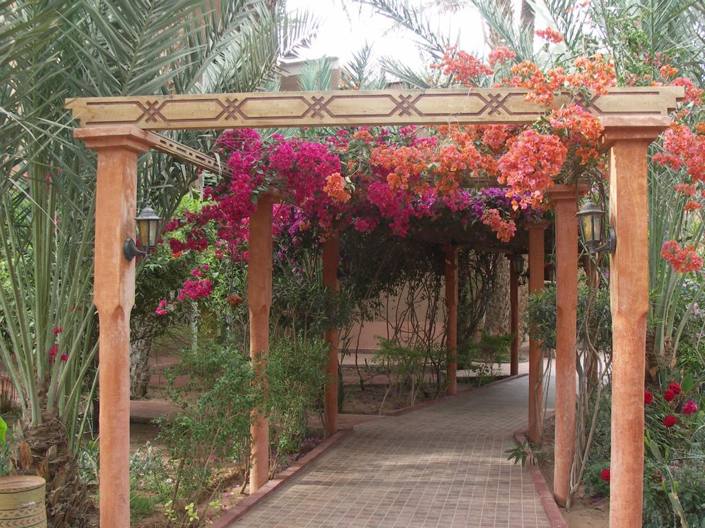 Fibule Du Draa Kasbah D'Hotes Zagora Buitenkant foto