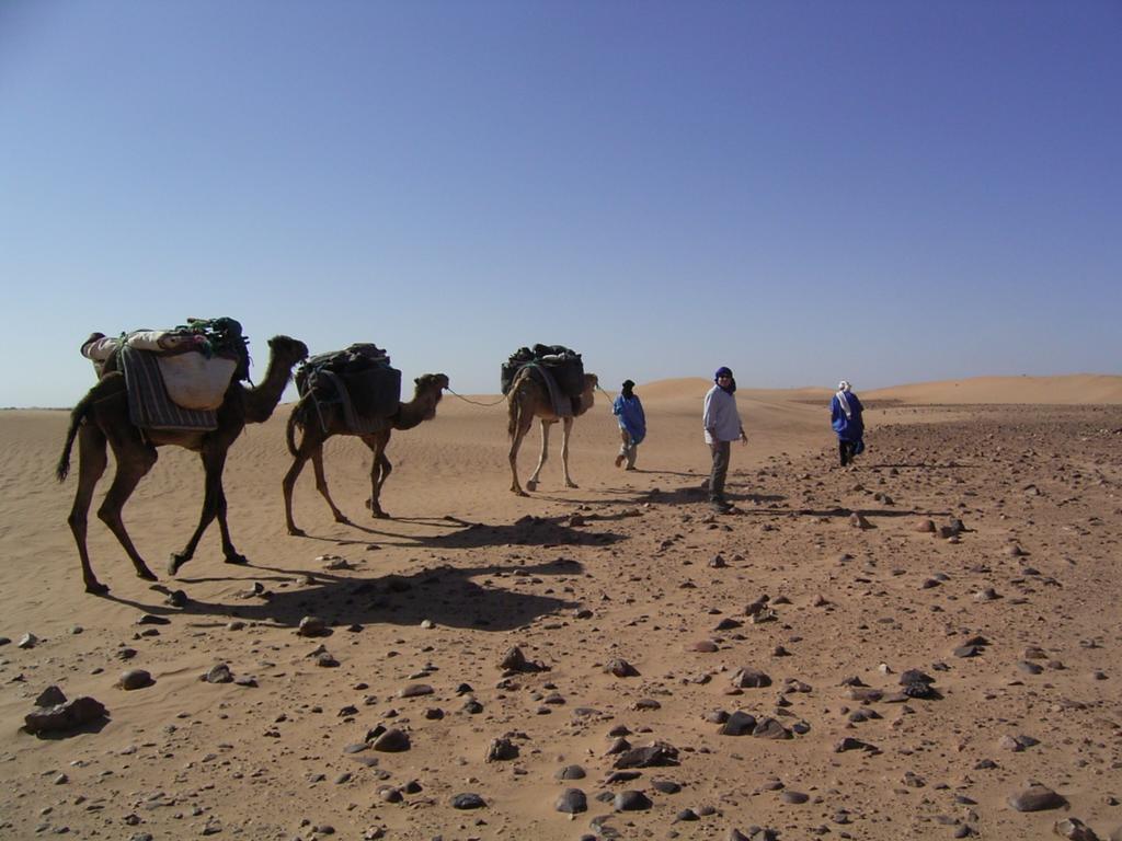 Fibule Du Draa Kasbah D'Hotes Zagora Buitenkant foto