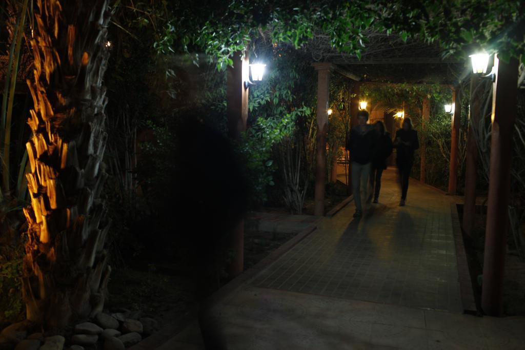 Fibule Du Draa Kasbah D'Hotes Zagora Buitenkant foto