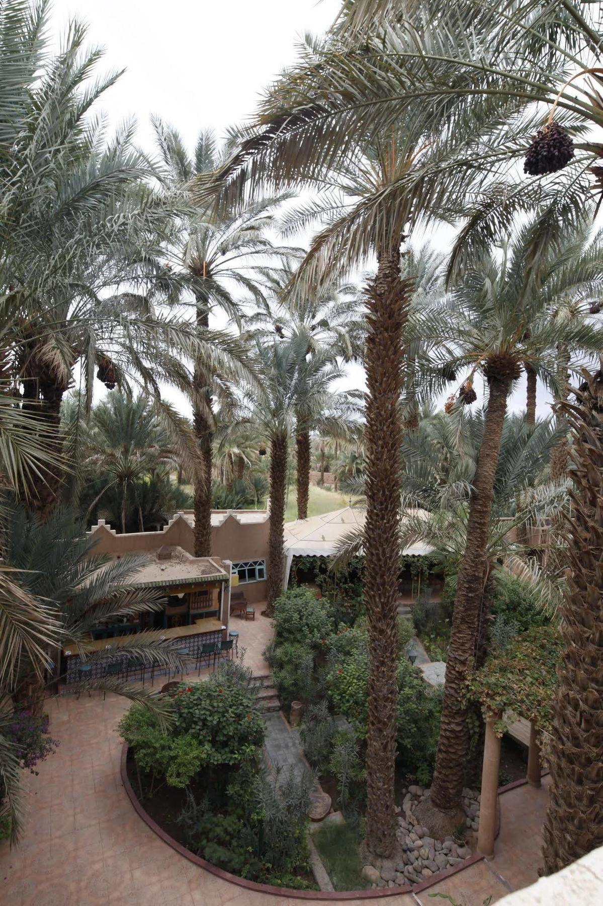 Fibule Du Draa Kasbah D'Hotes Zagora Buitenkant foto